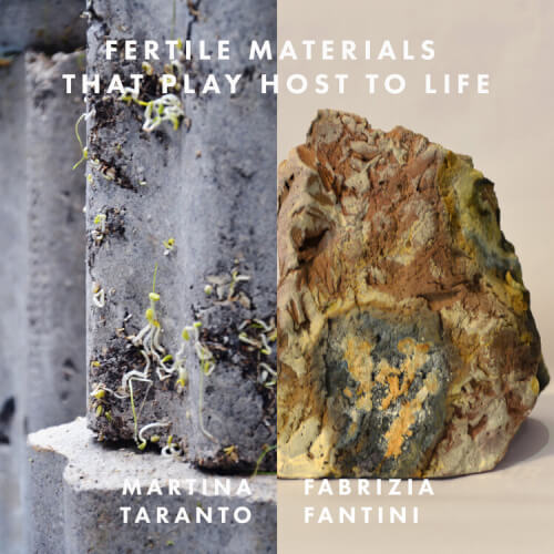 fertile-materials-that-play-host-to-life-martina-taranto-fabrizia-fantini-profile.jpeg
